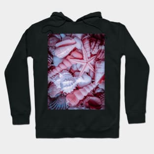 Summer Pink Seashells Starfish Nature Hoodie